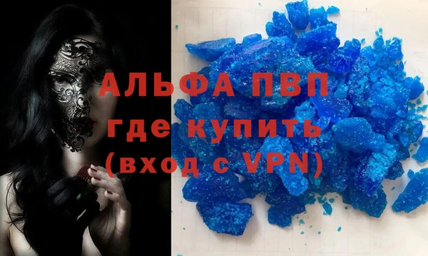 индика Бронницы