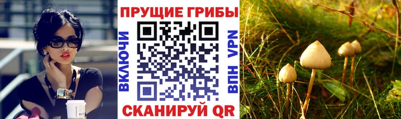 Галлюциногенные грибы MAGIC MUSHROOMS  Гаврилов Посад 