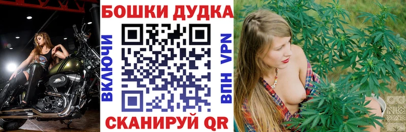 Шишки марихуана гибрид  Гаврилов Посад 